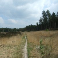 De Luneburger Heide 2